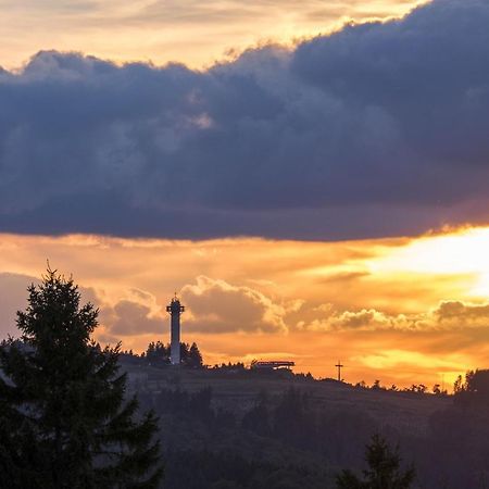 FeWo Pönblick Willingen  Dış mekan fotoğraf