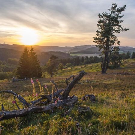 FeWo Pönblick Willingen  Dış mekan fotoğraf