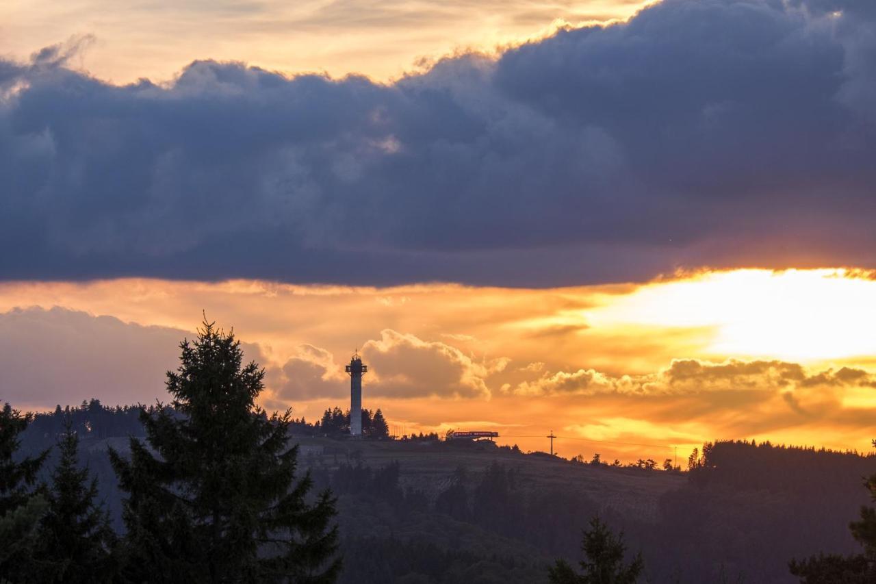 FeWo Pönblick Willingen  Dış mekan fotoğraf