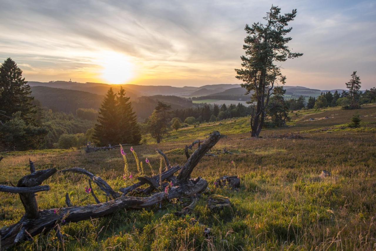 FeWo Pönblick Willingen  Dış mekan fotoğraf