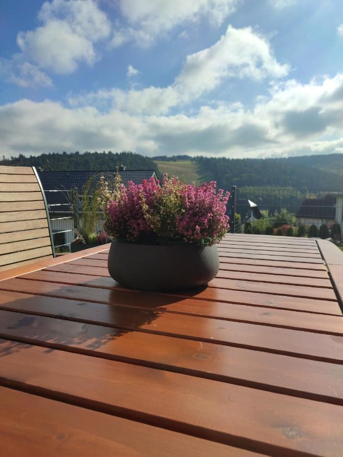 FeWo Pönblick Willingen  Dış mekan fotoğraf